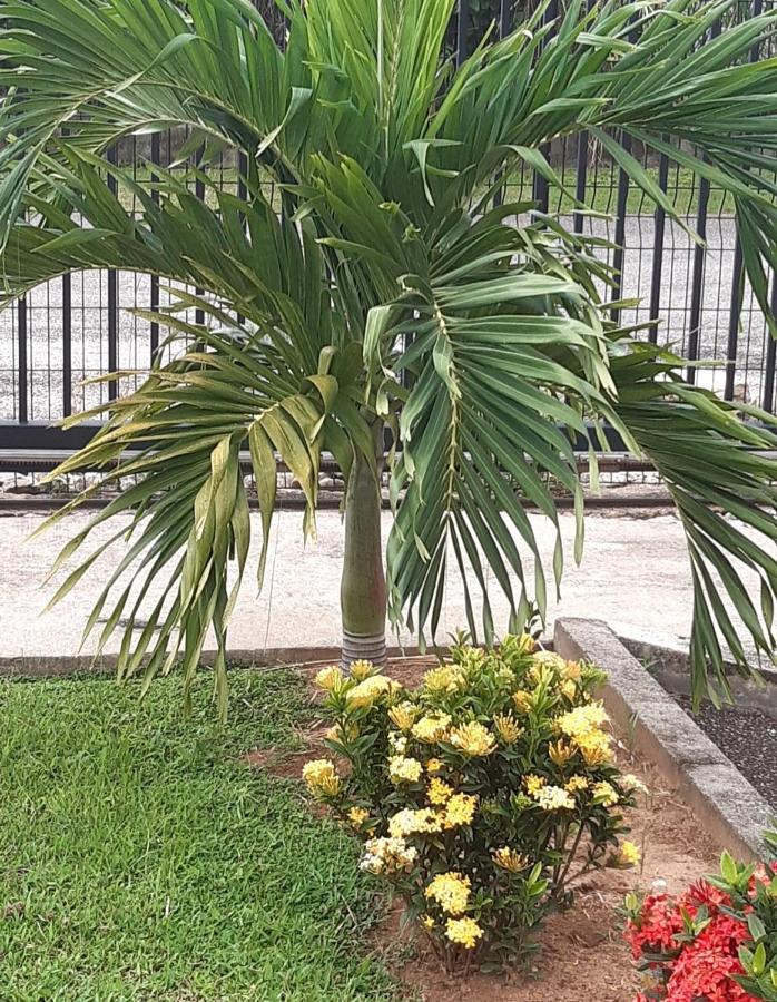 Emeraude Cayenne Ngoại thất bức ảnh